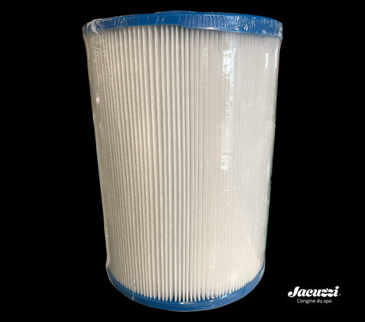 Filtre pour spas S-300, S-550, S-600, S-4000